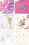 Figure 1 - Unfortunately we are unable to provide accessible alternative text for this. If you require assistance to access this image, please contact help@nature.com or the author